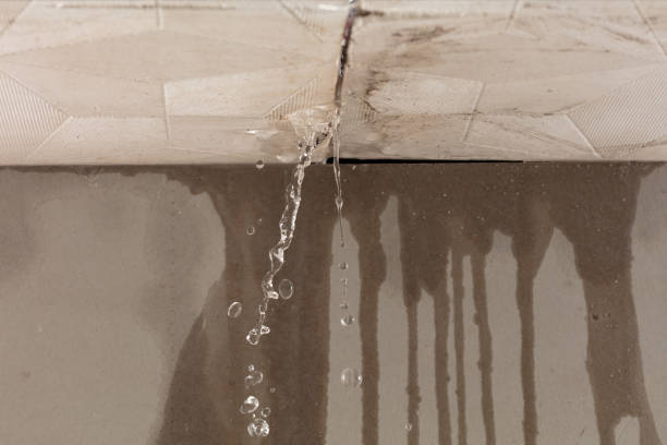 Professional Water Damage Repair technician working in Hamill, SD